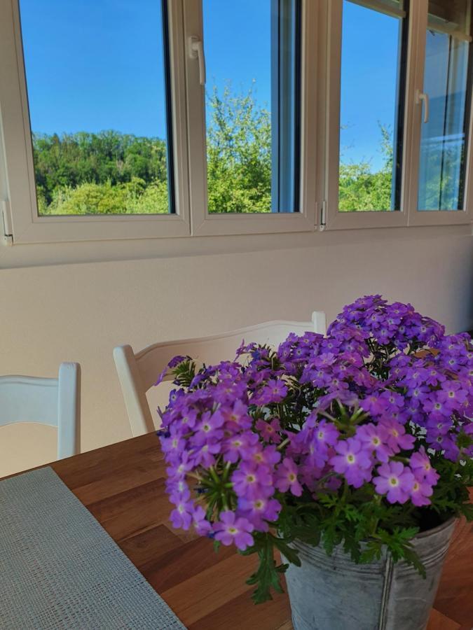 Ferienwohnung Sitter-Panorama Bischofszell Exterior foto